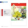 Lịch Treo Tường Lò Xo 2027 NB Mẫu NB253 (16 x 25 cm) Quà Tết Công Nhân Viên Chiết Khấu Cao in logo doanh nghiệp quà tặng Tết tại Quà Tặng Công Nhân